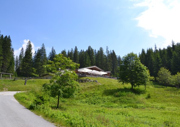 Hochthörle Hütte